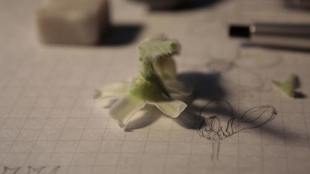 A flower in the process of being disected by Murayama.