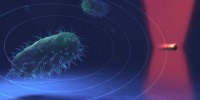 image: Next Generation: World’s First Nano-ear