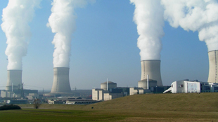 Fukushima Birds Affected image: Fukushima Birds Affected