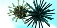 image: Cancer-Fighting Virus