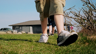 Signs of Neuro-problems? image: Signs of Neuro-problems?
