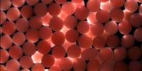 image: Coral Clones