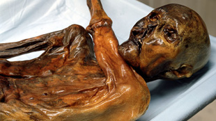 Ötzi the Iceman, discovered in 1991