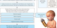 How the Pediatric Laws Work image: How the Pediatric Laws Work