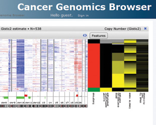 TRACKING CLINICAL ASSOCIATION: The UC Santa Cruz Cancer Genomics Browser displays side-by-side heat maps of genomic data (left), such as gene expression and copy number changes, and clinical data (right) for a long list of cancer data sets, along with a feature that enables researchers to look for genomic variations that correlate with clinical outcomes.