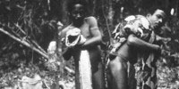 image: Snake Tales