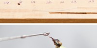 SNIFF SCHOOL: Suckling’s and Sagar’s experimental setup with bees restrained  and ready for testing (top). Sagar tests a honeybees’s proboscis-extension response to different odors.Robert Lamberts NZPFR
