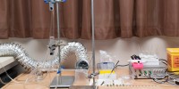 Experimental setup to test the proboscis extension response to odors with honey beesRobert Lamberts NZPFR