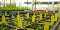 The Donald Danforth Plant Science Center (#8 USA) focuses on ways to increase crop yield and enhance nutrition.Donald Danforth Plant Science Center