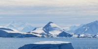 image: Antarctic Invasion