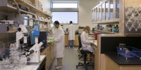 image: HHMI Competition Opens