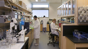HHMI Competition Opens image: HHMI Competition Opens