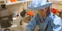 image: Bird Flu Debate Continues