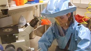 Bird Flu Debate Continues image: Bird Flu Debate Continues