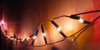 image: Famed Geneticist Dies