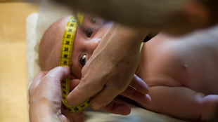Upheaval Over Children’s Health Study image: Upheaval Over Children’s Health Study
