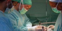 image: Transplant Without Drugs?