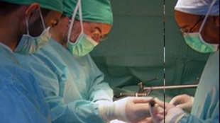 Transplant Without Drugs? image: Transplant Without Drugs?