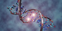 image: Synthetic Genetic Evolution