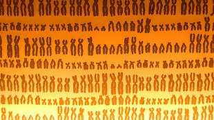 Multiple Strikes Against Autism image: Multiple Strikes Against Autism