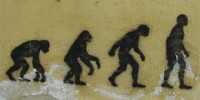 image: Are Humans Still Evolving?