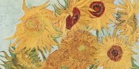 image: The Science of Van Gogh