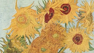 The Science of Van Gogh image: The Science of Van Gogh