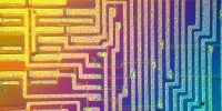 image: Bacterial Computing?