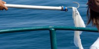image: Ocean Plastic Aid Insects