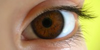 image: Bionic Eye Sees the Light