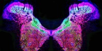image: Lab Bench Beauty