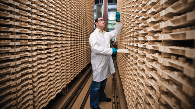 Novartis Institutes for BioMedical Research (#17) researcher searching the company's compound archive in Basel, Switzerland.