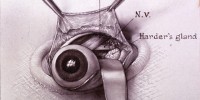 image: Surgical Art