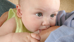 Breast Milk Antibodies Fight HIV image: Breast Milk Antibodies Fight HIV