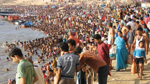 Rare Alleles Rise with Population image: Rare Alleles Rise with Population