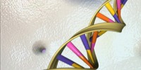 image: DNA Hard Drive