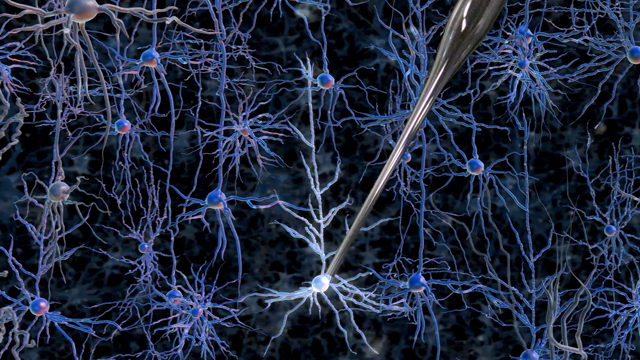 Next Generation: The Brain Bot image: Next Generation: The Brain Bot