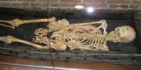 image: Bones Won’t Be Buried Yet
