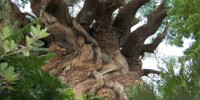 image: A New Branch of Life?