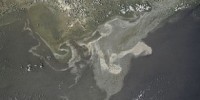 image: BP Subpoenas Scientist Emails
