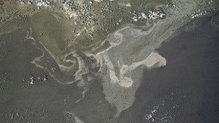BP Subpoenas Scientist Emails image: BP Subpoenas Scientist Emails