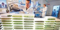 Last but not least, our #20 company, Bayer Corp, has advanced four medicines into late-stage development in the past year.