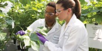 Coming in at #7, Dow AgroSciences will be launching the Enlist™ Weed Control System and the sap-feeding insecticide sulfoxaflor this year.