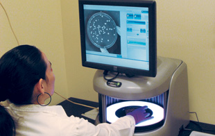 TEDIUM, BE GONE: In Gray Crouse’s lab at Emory, which studies DNA repair mechanisms, Gina Rodriguez counts yeast colonies using a Synbiosis ProtoCOL 2 automated counter.