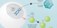 image: Messing with HIV