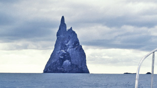 ISLAND FORTRESS: Ball’s Pyramid, a rocky volcanic remnant jutting out of the Pacific Ocean, where the stick insect was rediscovered