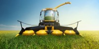 image: Better Biofuel Crops