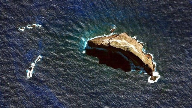 In Ball's pyramid, a giant rock island jutting out of the ocean off the coast of Australia, scientists discovered a population of stick insects thought to have gone extinct in the early 20th century.