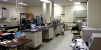 image: Scientist Fabricates Cancer Data
