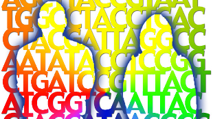 Gene Patent Stirs Controversy image: Gene Patent Stirs Controversy